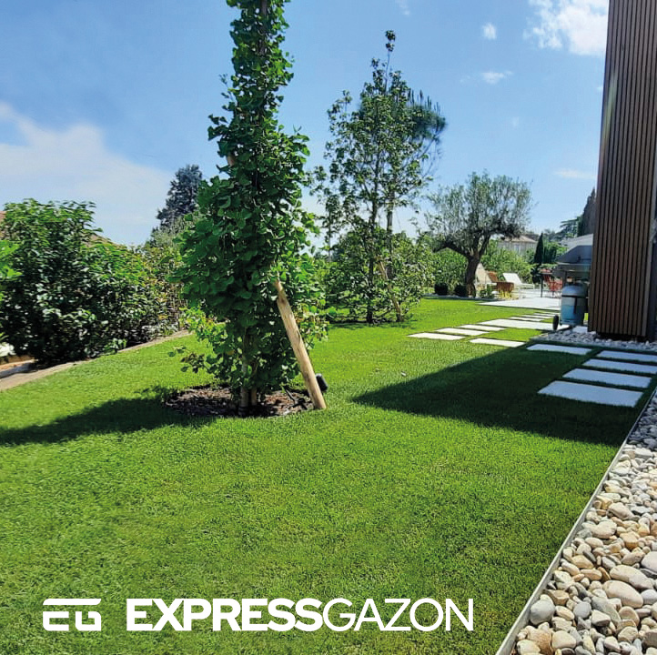 Express Gazon