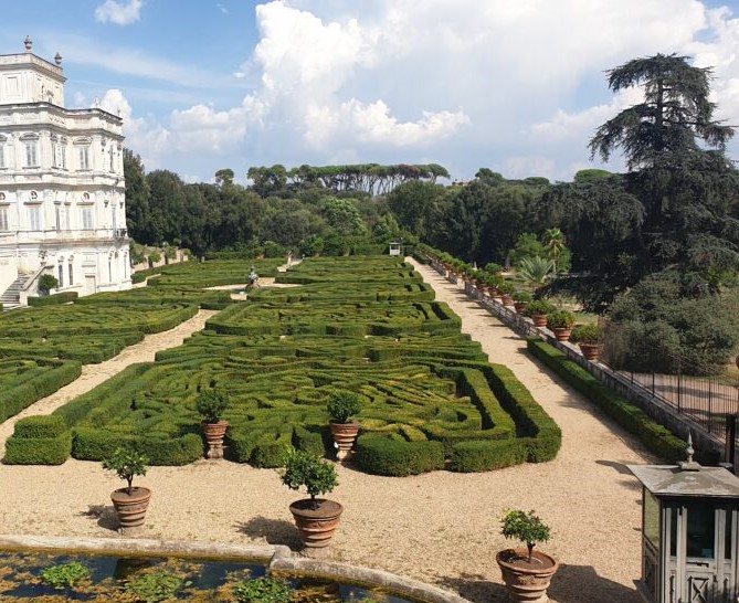 Pyrale du Buis – Espaces Verts Marchand