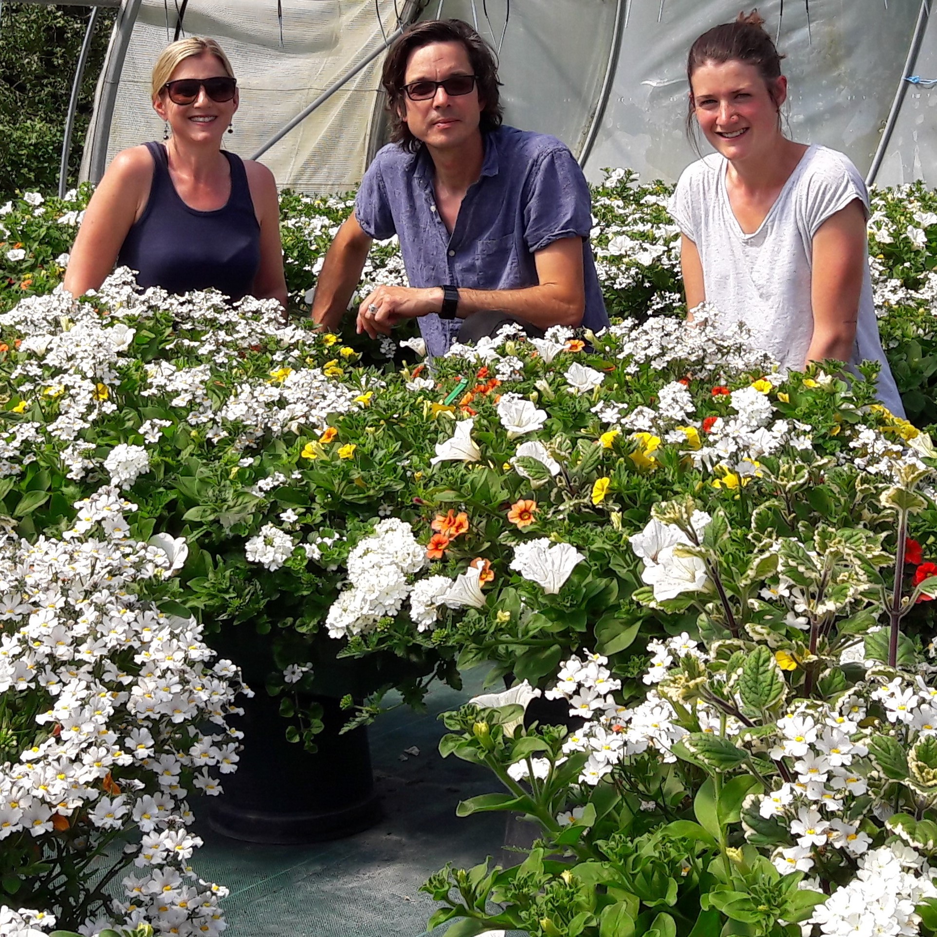 Flower Basket (The)