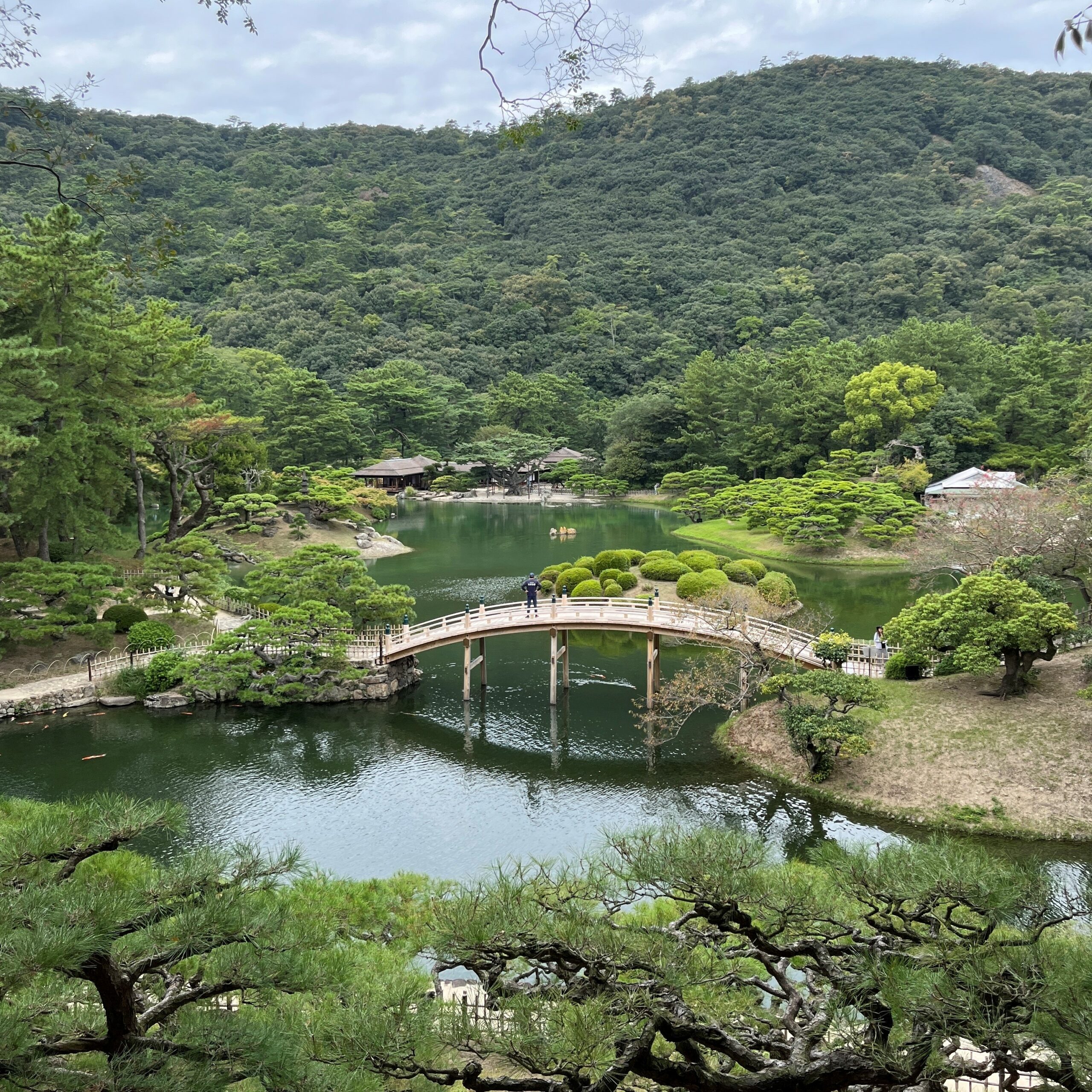 Japon au fil des floraisons