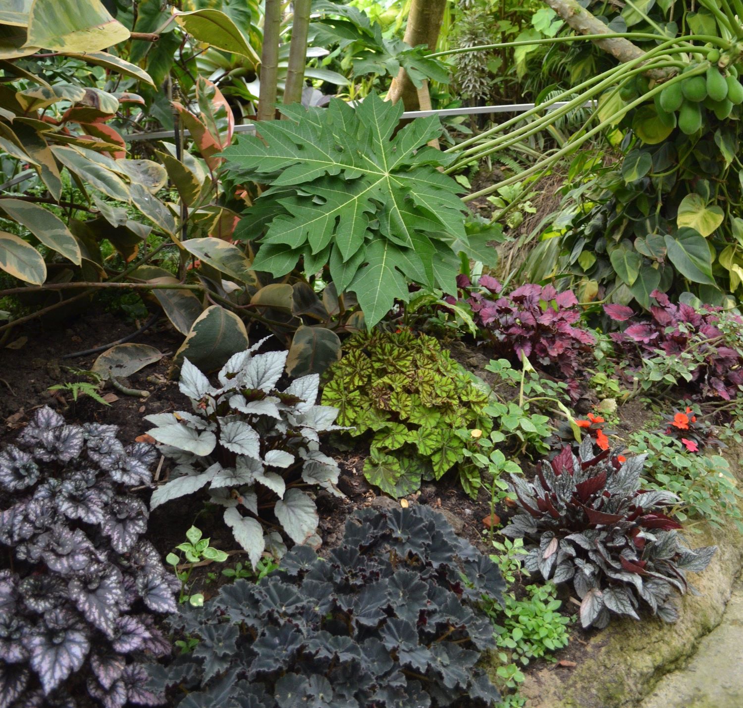 Jardin Botanique du Beau Pays