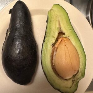 Avocatiers des Neiges