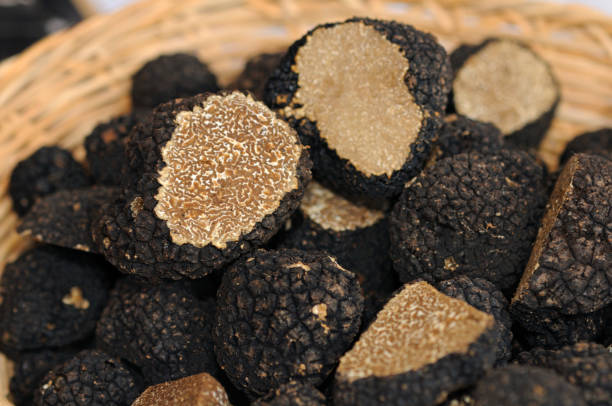 Envie de Truffe